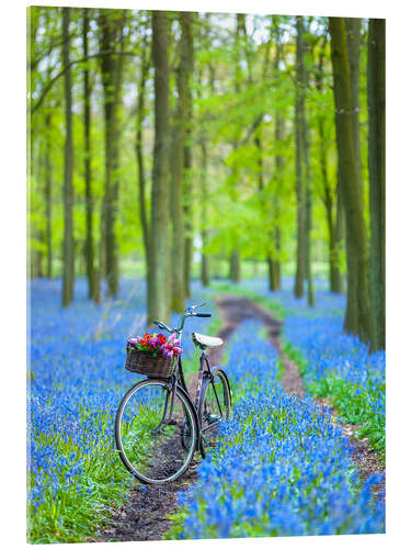 Acrylic print Forest Path Discovery