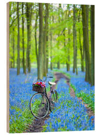 Holzbild Waldpfad-Entdeckung - Assaf Frank