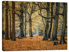 Leinwandbild Herbstwald - Assaf Frank