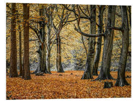 Hartschaumbild Herbstwald