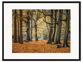 Gerahmter Kunstdruck Herbstwald