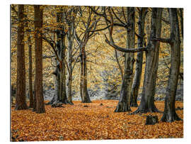 Gallery Print Herbstwald