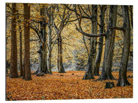 Magnettafel Herbstwald