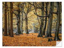 Wandsticker Herbstwald