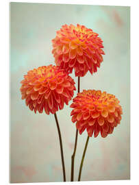 Akrylbilde Triple Dahlia Delight - Assaf Frank