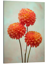 Alubild Triple Dahlia Delight - Assaf Frank