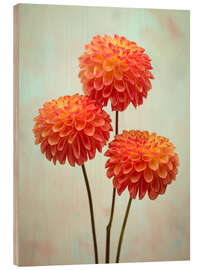 Cuadro de madera Triple Dahlia Delight - Assaf Frank