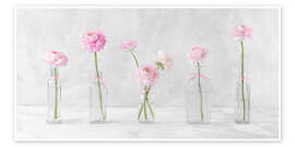 Póster Ranunculus in Glass Bottles - Assaf Frank