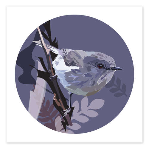 Plakat Grey warbler on purple circle background