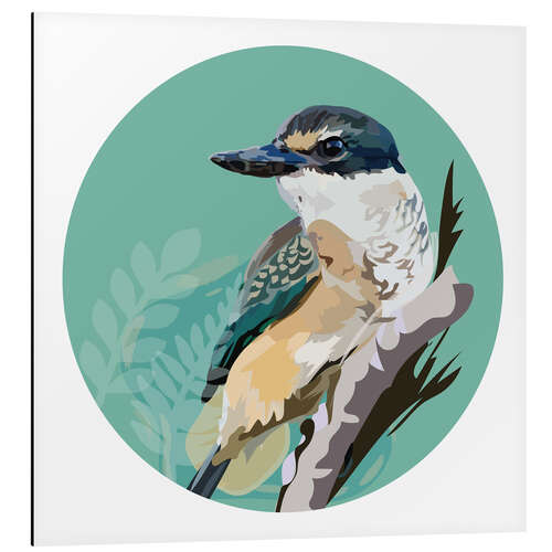 Obraz na aluminium Kingfisher