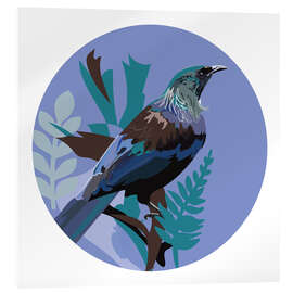 Acrylglasbild Tuihonigfresser auf Blue Circle - Anna McKay
