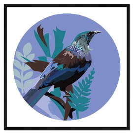 Gerahmter Kunstdruck Tuihonigfresser auf Blue Circle