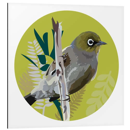 Obraz na aluminium Waxeye On Green Circle