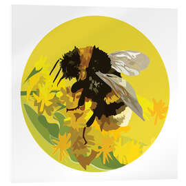Acrylglasbild Hummel auf gelbem Kreis