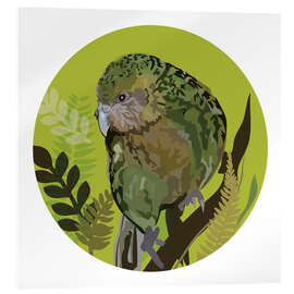 Acrylglasbild Kakapo-Papagei auf hellgrünem Kreis