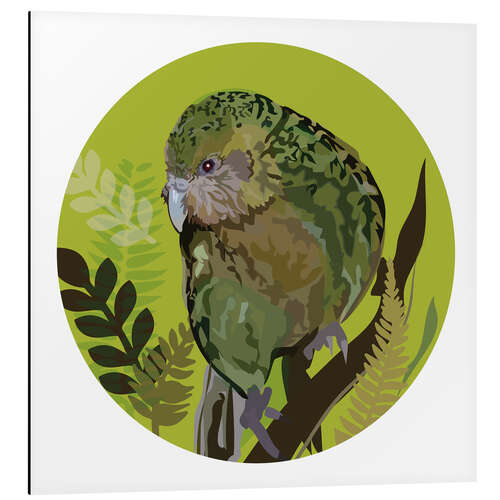Obraz na aluminium Kakapo Parrot on Bright Green Circle