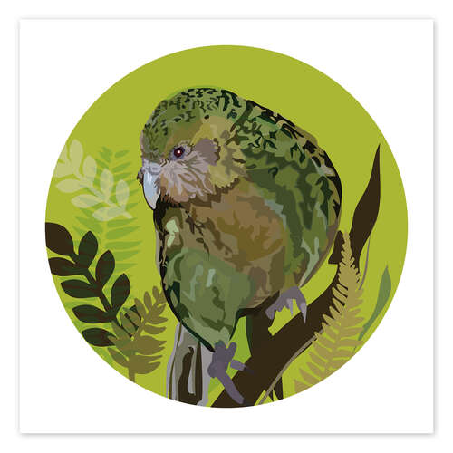 Póster Kakapo Parrot on Bright Green Circle