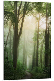 Aluminium print The lush forest