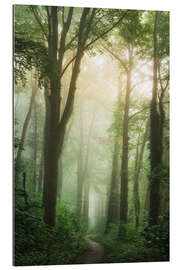 Cuadro de plexi-alu The lush forest