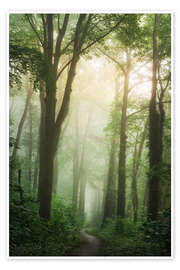 Wandbild Der üppige Wald - Martin Podt