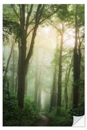 Wall sticker The lush forest