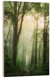Trätavla The lush forest - Martin Podt