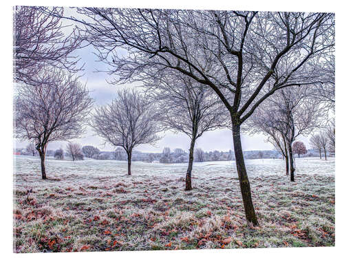 Acrylglasbild Bäume im frostigen Feld