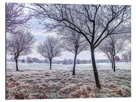 Alubild Bäume im frostigen Feld - Assaf Frank