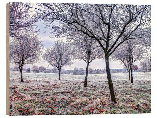 Obraz na drewnie Trees in Frosty Field