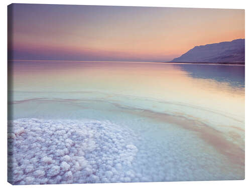 Canvas print Dead Sea Shore