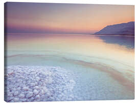 Canvas print Dead Sea Shore - Assaf Frank