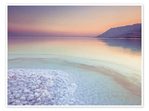 Poster Dead Sea Shore