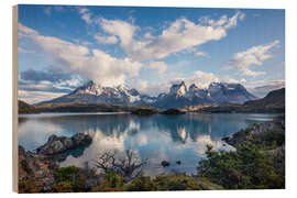 Holzbild Torres del Paine in Patagonien - Dieter Meyrl