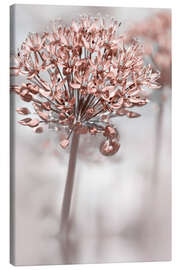 Quadro em tela Persian onion - Atteloi