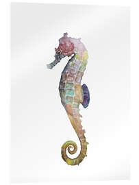 Cuadro de metacrilato Marine Life - Seahorse - Mantika Studio