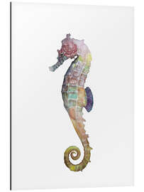 Magnettafel Meeresleben - Seepferdchen