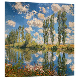 Hartschaumbild Sonniger Nachmittag am Fluss