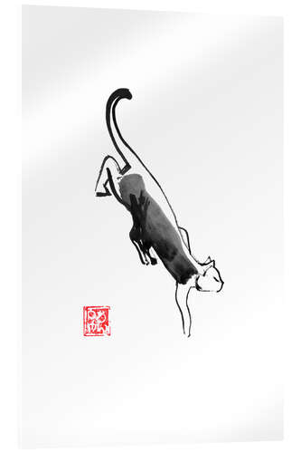 Acrylic print Sneaking cat