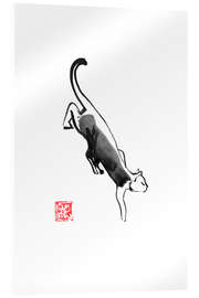 Acrylic print Sneaking cat - Péchane