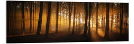 Obraz na szkle akrylowym Panorama of a forest at sunrise with sunrays
