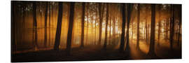 Alubild Panorama eines Waldes mit Sonnenstrahlen - Martin Podt