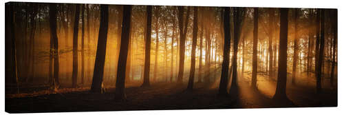 Canvas print Panorama of a forest at sunrise with sunrays