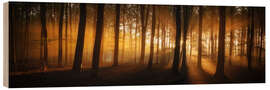 Holzbild Panorama eines Waldes mit Sonnenstrahlen