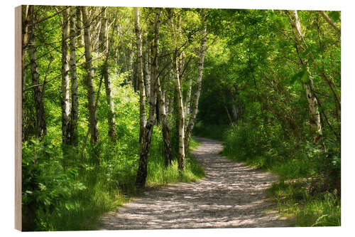 Cuadro de madera Path through the birch forest