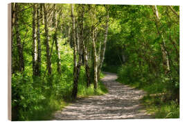 Cuadro de madera Path through the birch forest - Atteloi