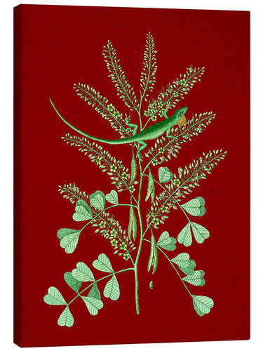 Canvas print Pl.066, Animal and Plant