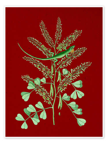 Poster Pl.066, Animal and Plant