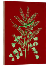 Cuadro de madera Pl.066, Animal and Plant - Mark Catesby