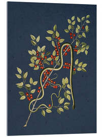 Cuadro de metacrilato The Green Snake - Mark Catesby