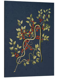 Aluminium print The Green Snake - Mark Catesby